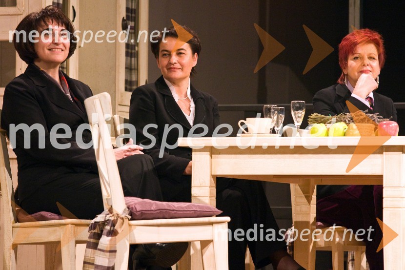 Ljubica Jelušič, ministrica za obrambo, Irma Pavlinič Krebs, ministrica za javno upravo in Majda Širca, ministrica za kulturoSlovenec leta 2008