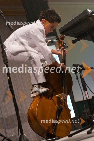 Mlada LangaSlovenec leta 2008