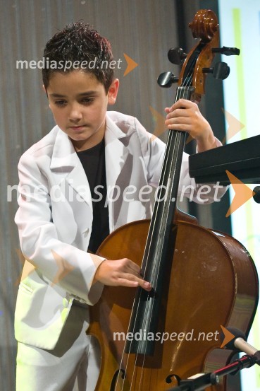 Mlada LangaSlovenec leta 2008