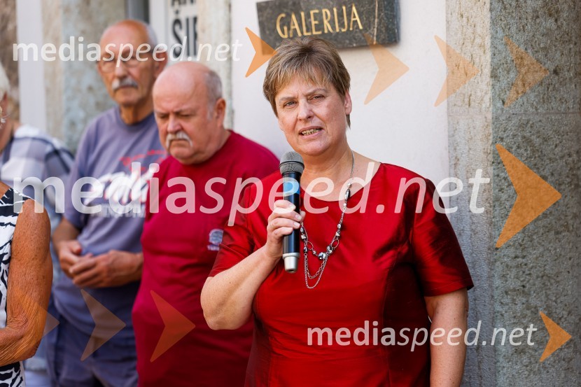  Mag. Marjana  Žibert, direktorica, Gorenjski muzejAndrej Šifrer, 70 let-NIČ proti VEČnosti