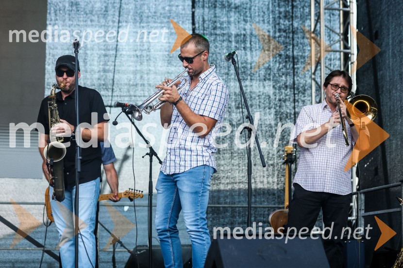 Svetovno prvenstvo v odbojki 2022, Slovenija - Kamerun