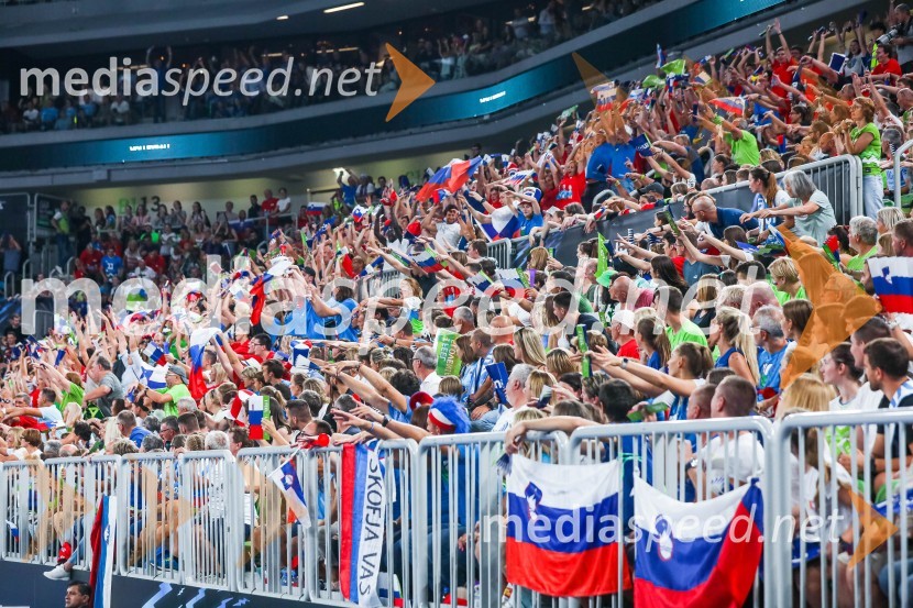 Svetovno prvenstvo v odbojki 2022, Slovenija - Francija