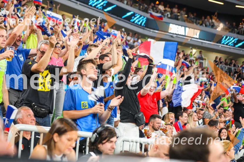 Svetovno prvenstvo v odbojki 2022, Slovenija - Francija