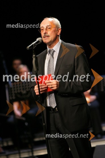 Srečko Pirtovšek, odgovorni urednik revij Založbe KapitalNaj Mariborčan 2008