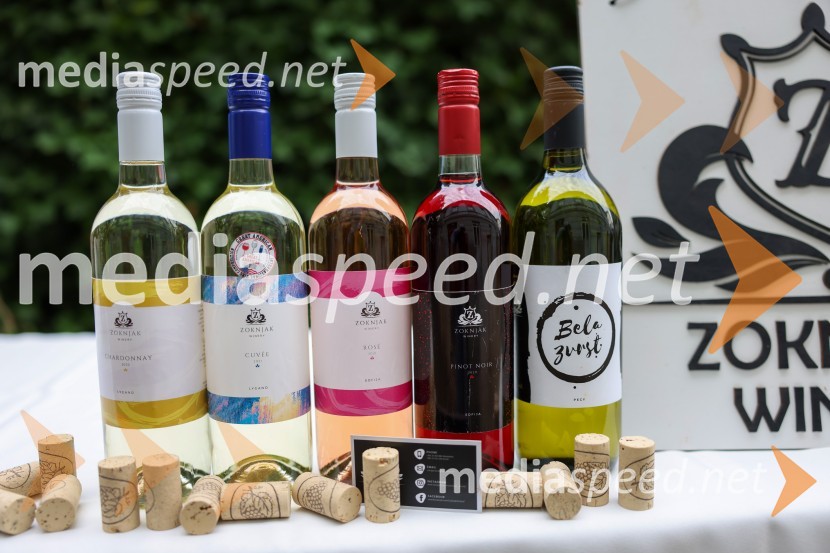 Večer vin iz Lendavskih goric in izbor županovega vina