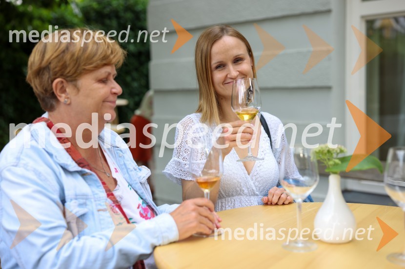 Večer vin iz Lendavskih goric in izbor županovega vina