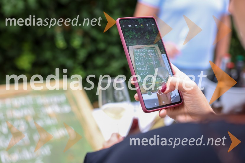 Večer vin iz Lendavskih goric in izbor županovega vina