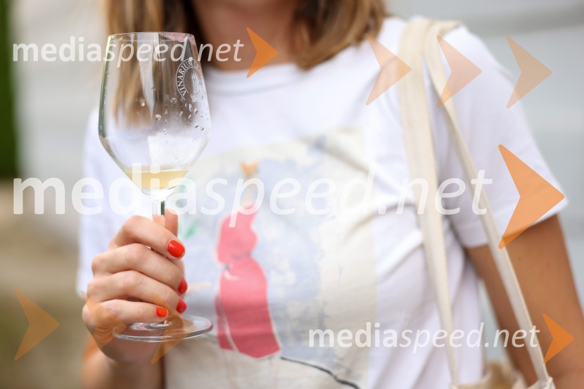 Večer vin iz Lendavskih goric in izbor županovega vina