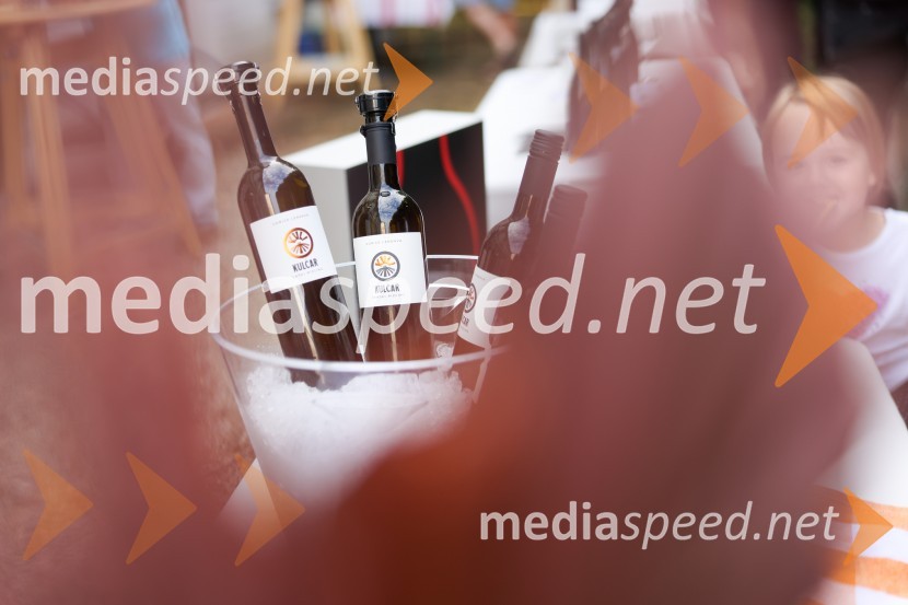 Večer vin iz Lendavskih goric in izbor županovega vina