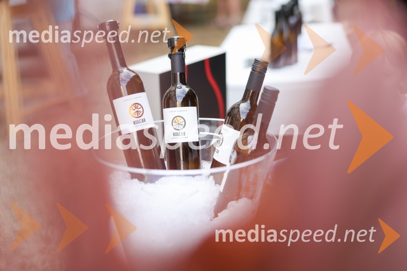 Večer vin iz Lendavskih goric in izbor županovega vina
