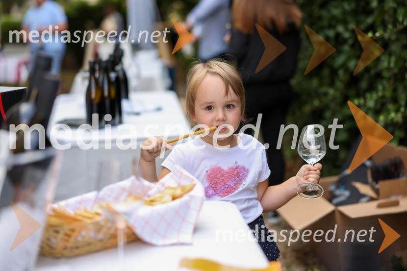 Večer vin iz Lendavskih goric in izbor županovega vina