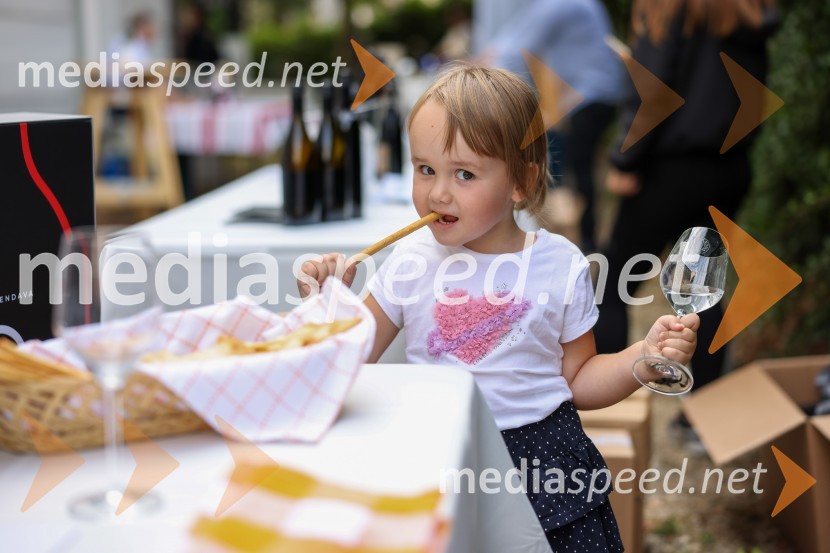 Večer vin iz Lendavskih goric in izbor županovega vina
