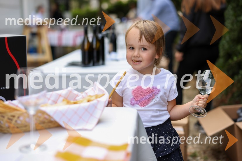 Večer vin iz Lendavskih goric in izbor županovega vina