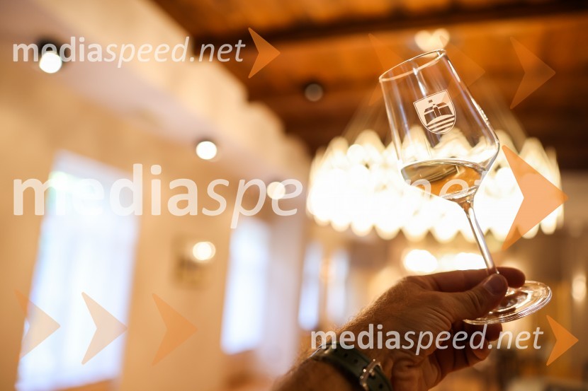 Večer vin iz Lendavskih goric in izbor županovega vina