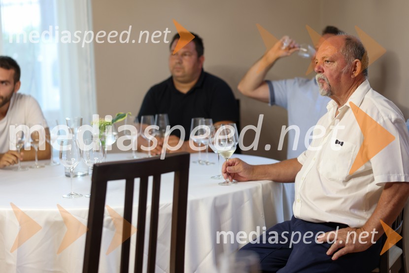 Večer vin iz Lendavskih goric in izbor županovega vina