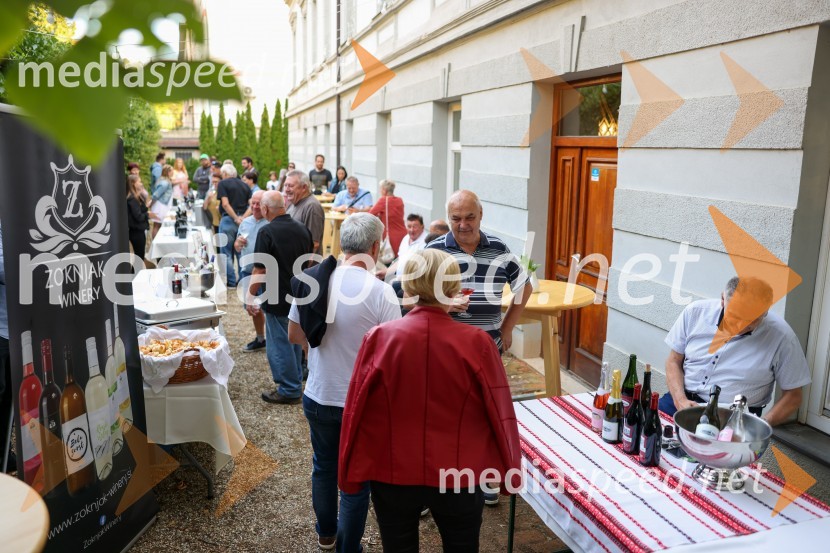 Večer vin iz Lendavskih goric in izbor županovega vina