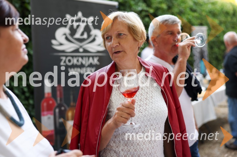 Večer vin iz Lendavskih goric in izbor županovega vina