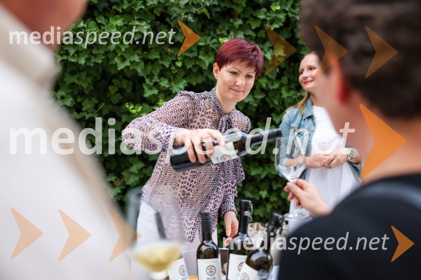 Večer vin iz Lendavskih goric in izbor županovega vina