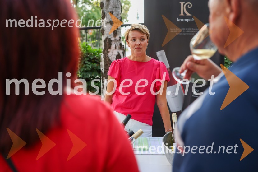 Večer vin iz Lendavskih goric in izbor županovega vina