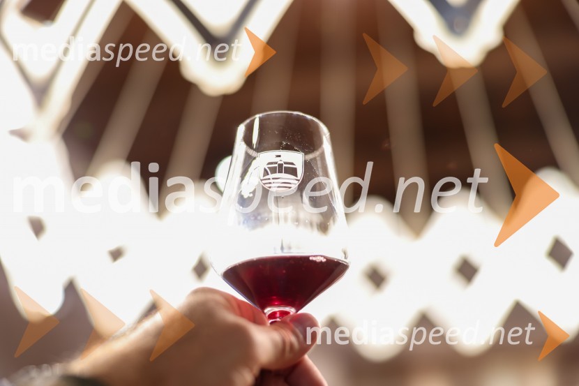 Večer vin iz Lendavskih goric in izbor županovega vina
