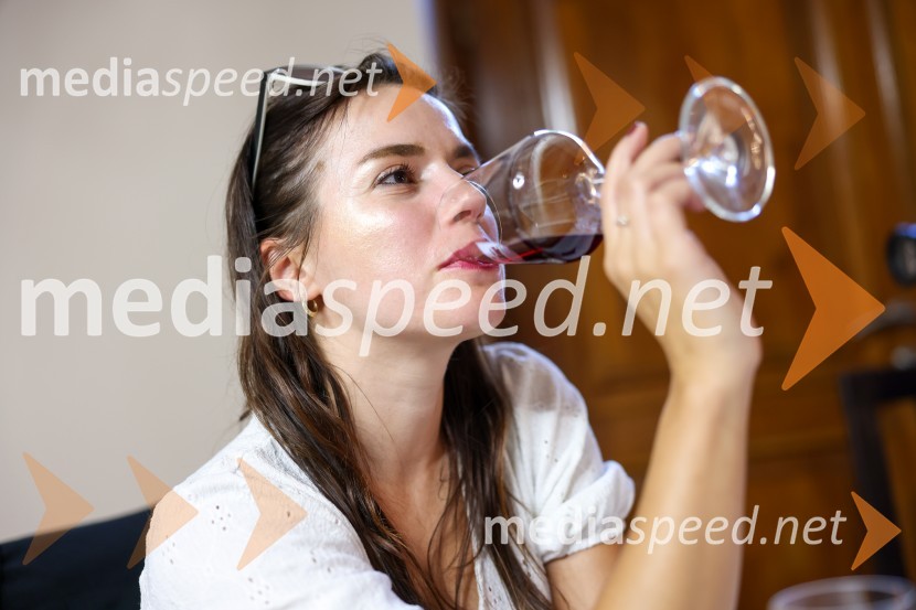 Večer vin iz Lendavskih goric in izbor županovega vina