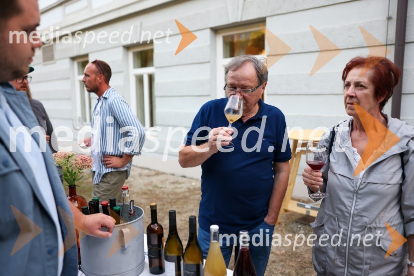 Večer vin iz Lendavskih goric in izbor županovega vina