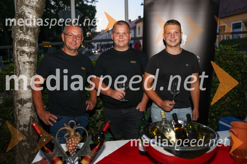 Večer vin iz Lendavskih goric in izbor županovega vina