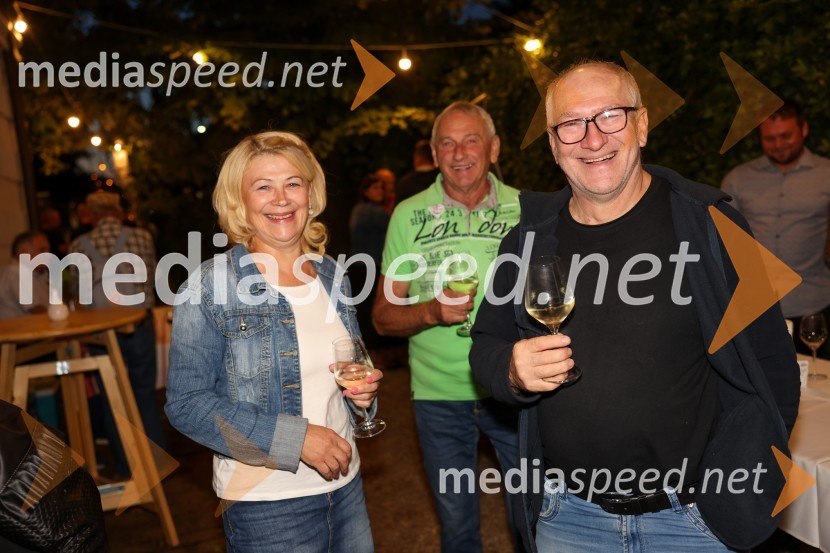 Večer vin iz Lendavskih goric in izbor županovega vina