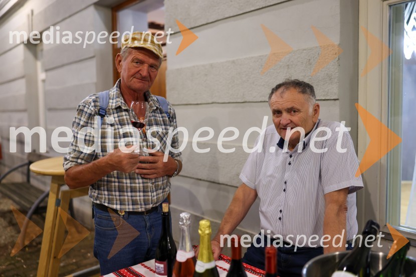 Večer vin iz Lendavskih goric in izbor županovega vina