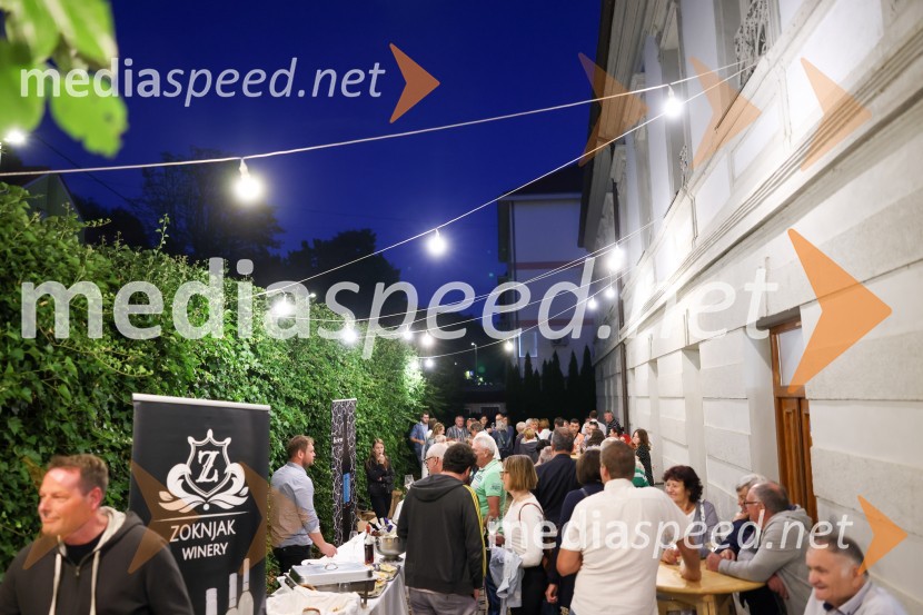 Večer vin iz Lendavskih goric in izbor županovega vina