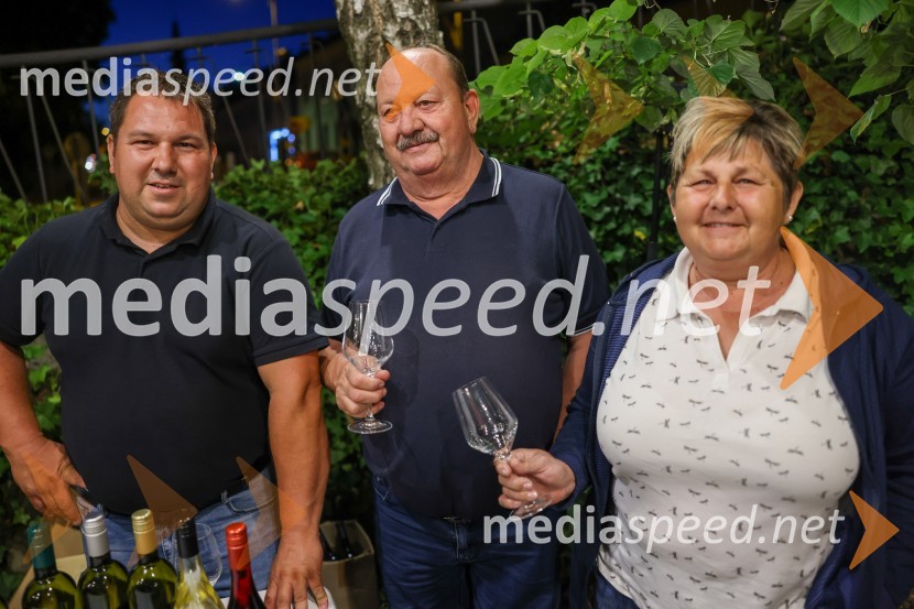 Večer vin iz Lendavskih goric in izbor županovega vina