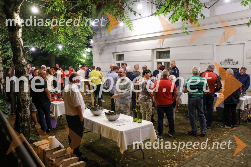 Večer vin iz Lendavskih goric in izbor županovega vina