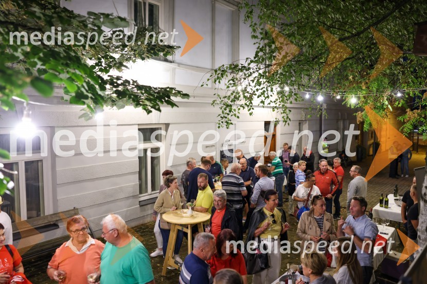 Večer vin iz Lendavskih goric in izbor županovega vina