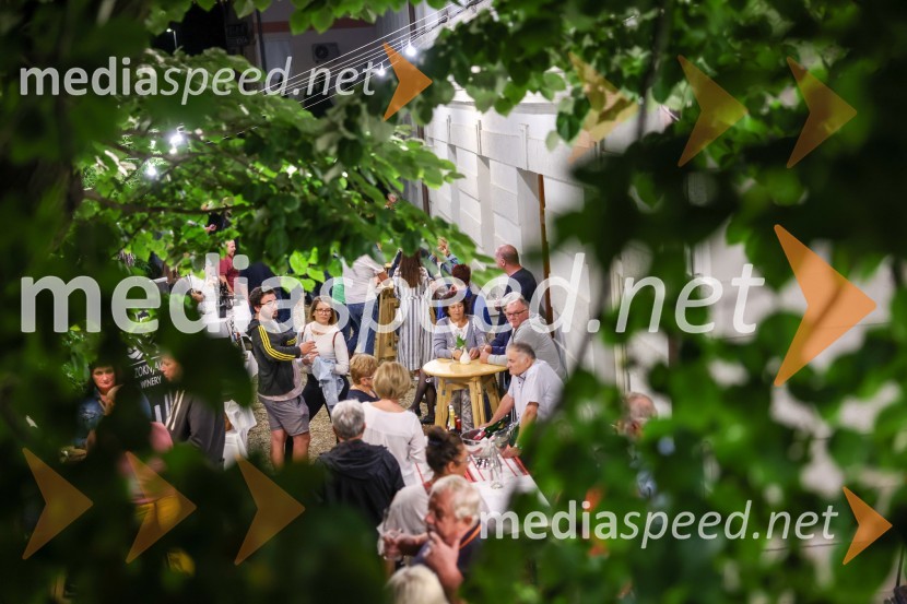 Večer vin iz Lendavskih goric in izbor županovega vina