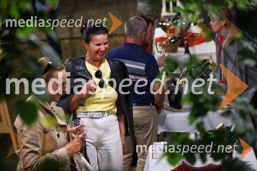 Večer vin iz Lendavskih goric in izbor županovega vina