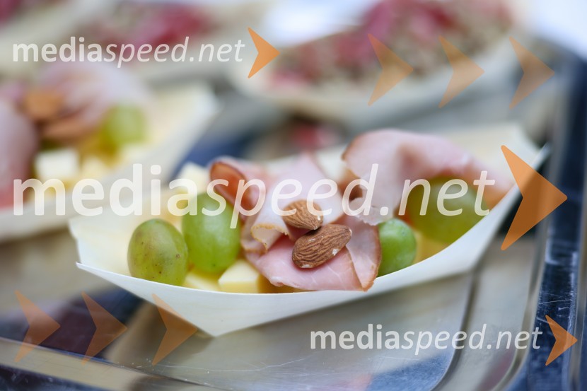 Večer vin iz Lendavskih goric in izbor županovega vina