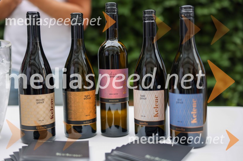 Večer vin iz Lendavskih goric in izbor županovega vina