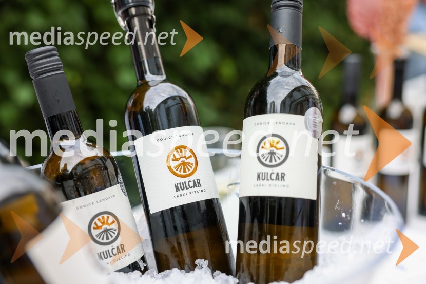 Večer vin iz Lendavskih goric in izbor županovega vina