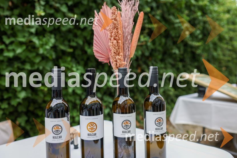 Večer vin iz Lendavskih goric in izbor županovega vina