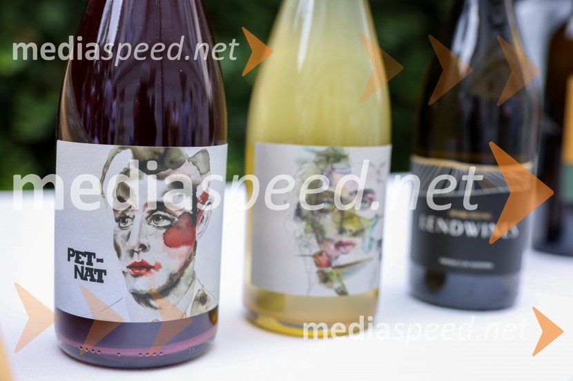 Večer vin iz Lendavskih goric in izbor županovega vina