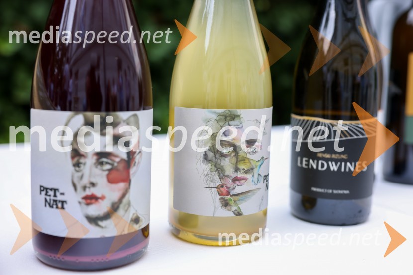 Večer vin iz Lendavskih goric in izbor županovega vina