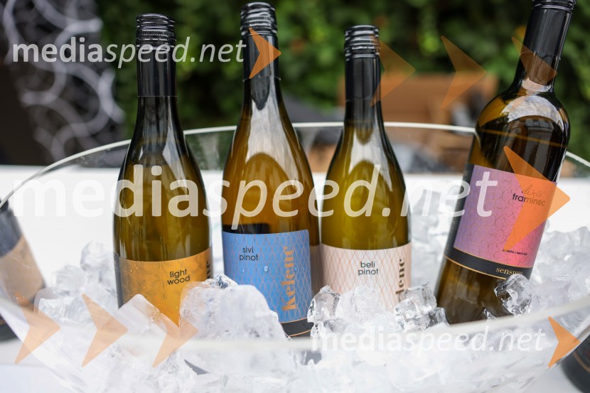 Večer vin iz Lendavskih goric in izbor županovega vina