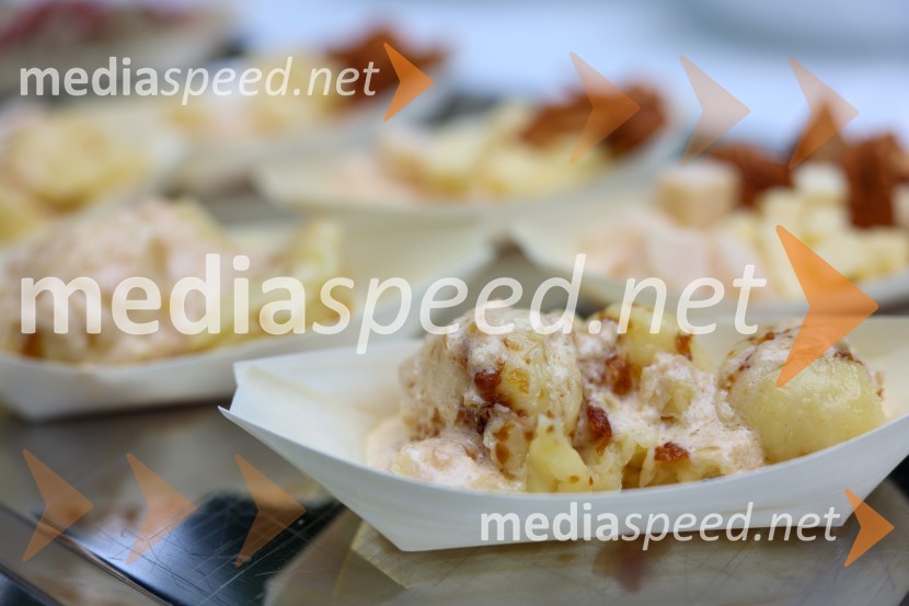 Večer vin iz Lendavskih goric in izbor županovega vina