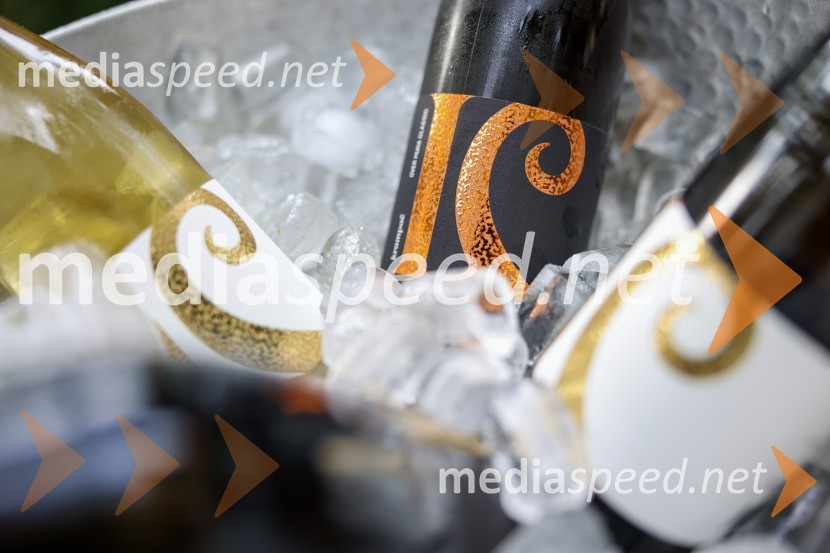 Večer vin iz Lendavskih goric in izbor županovega vina