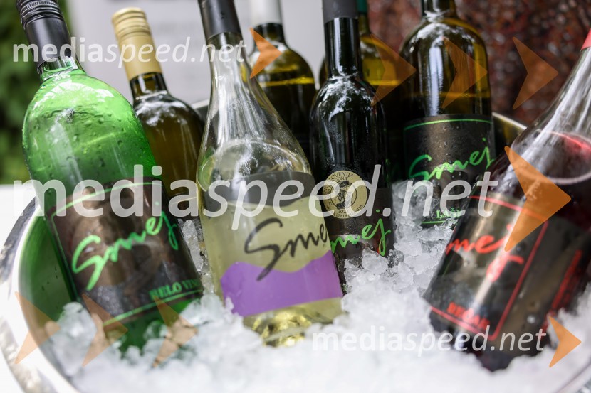 Večer vin iz Lendavskih goric in izbor županovega vina