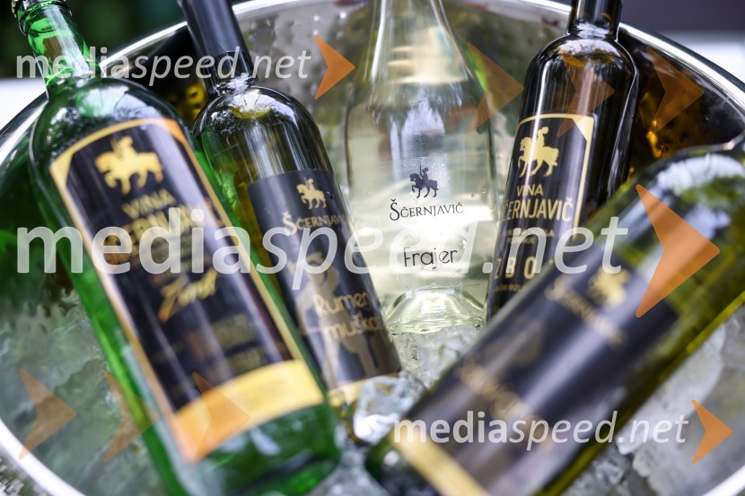 Večer vin iz Lendavskih goric in izbor županovega vina