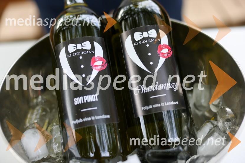 Večer vin iz Lendavskih goric in izbor županovega vina