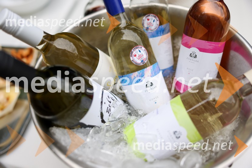 Večer vin iz Lendavskih goric in izbor županovega vina