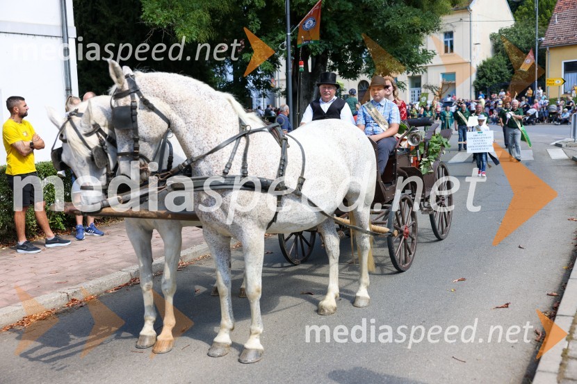 43. Lendavska trgatev, Festival Vinarium 2022