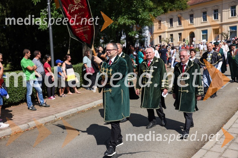 43. Lendavska trgatev, Festival Vinarium 2022